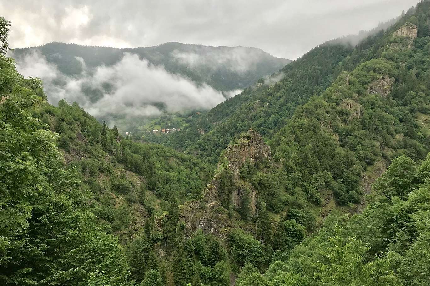 Yalova'da ormanlık alanlara girişler yasaklandı